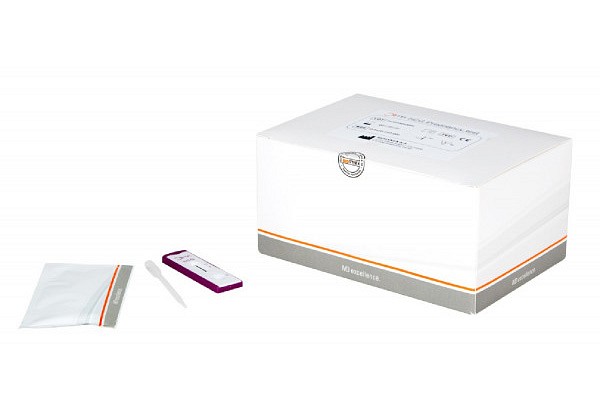 Biosynex Dima hCG Combo Cassette