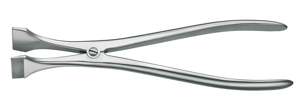 category.image.not.loaded.alt.text