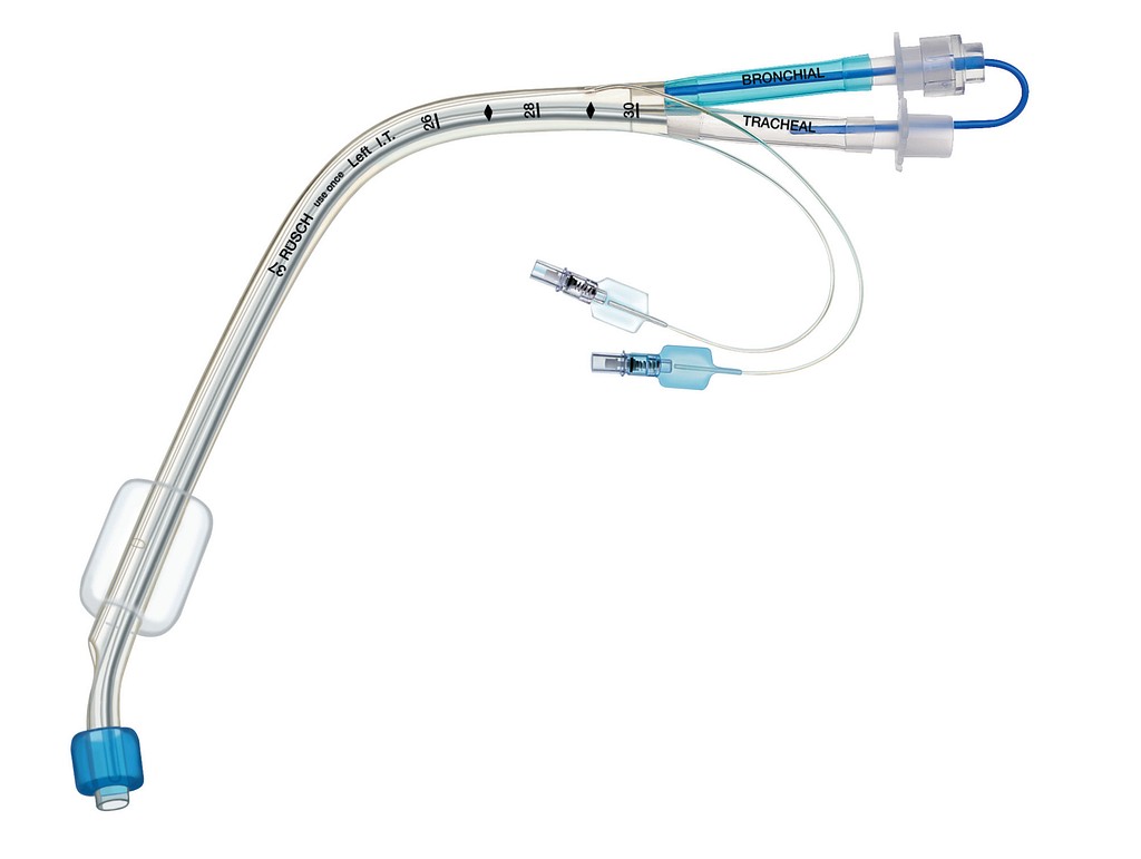 category.image.not.loaded.alt.text