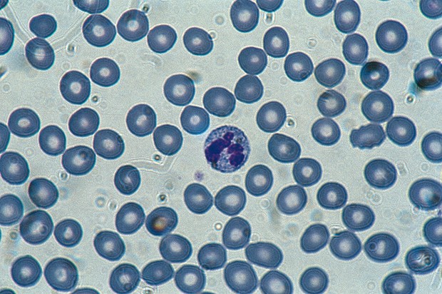 category.image.not.loaded.alt.text