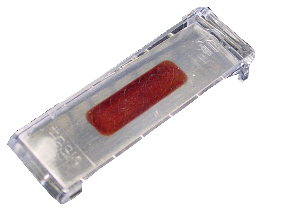 Pesukone testi T.O.S.I.