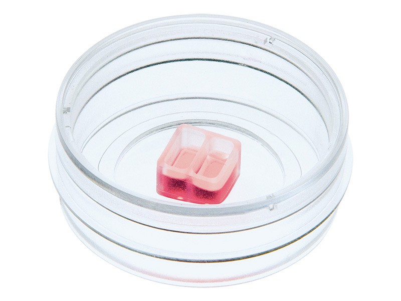 category.image.not.loaded.alt.text