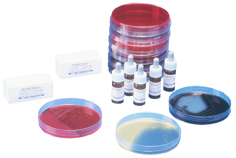 Salmonella H antisera T 2 ml