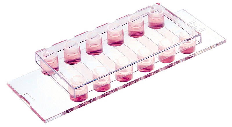 µ-Slide VI 0,4 Luer, ibiTreat