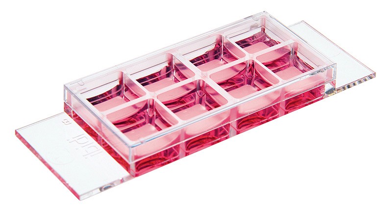 µ-Slide 8-k käsittelemätön