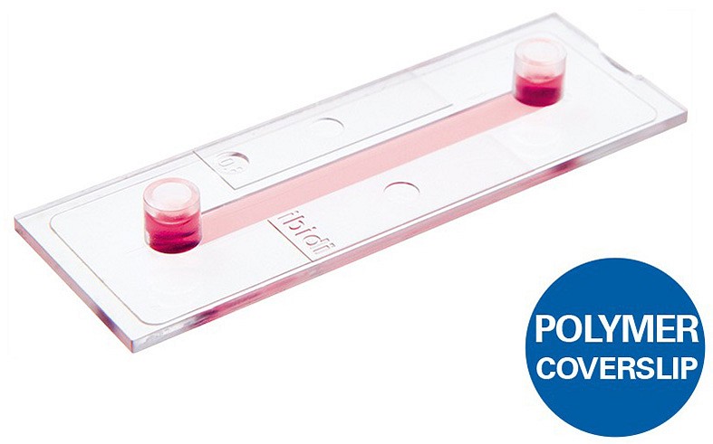 µ-Slide I 0,4 Luer, ibiTreat