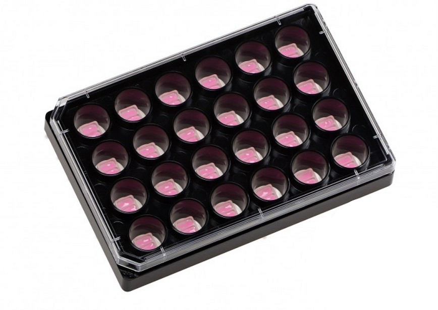 Soluviljelyinsertit 2-kaivoa 24-kuoppalevyllä