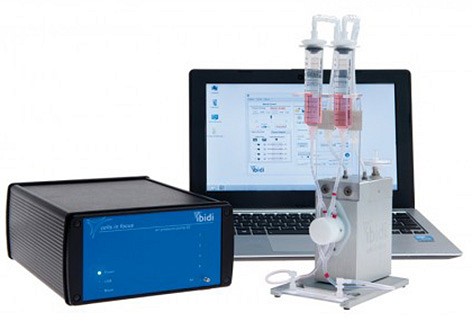 category.image.not.loaded.alt.text