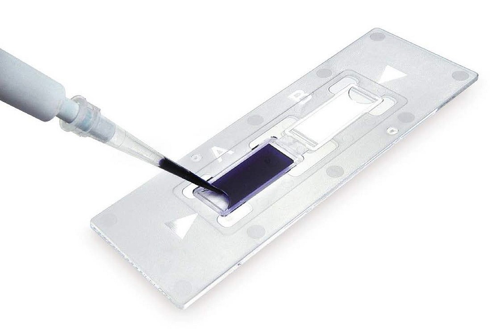 C-Chip Bürker kertakäyttöinen solulaskukammio