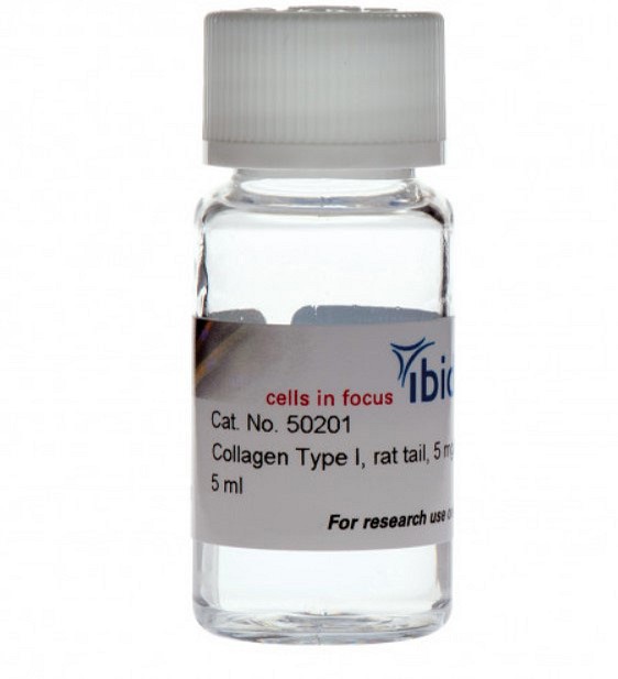 Ibidi Collagen Type I, 5ml