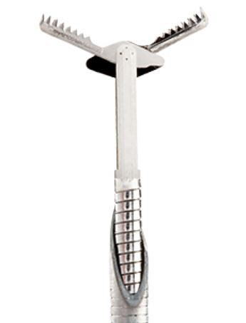 Moray micro forceps