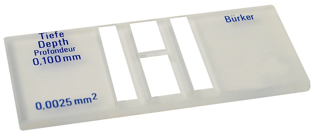 category.image.not.loaded.alt.text